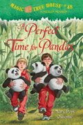 Cover image for Magic Tree House #48