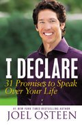 Cover image for I Declare