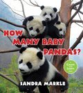 Cover image for How Many Baby Pandas
