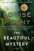 Cover image for Beautiful Mystery