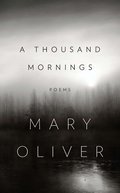Cover image for Thousand Mornings