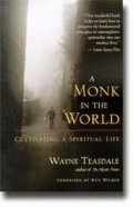 Cover image for Monk in the World