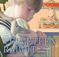 Cover image for Velveteen Rabbit